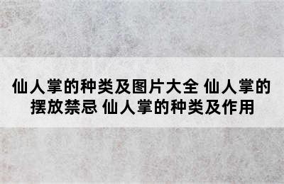 仙人掌的种类及图片大全 仙人掌的摆放禁忌 仙人掌的种类及作用